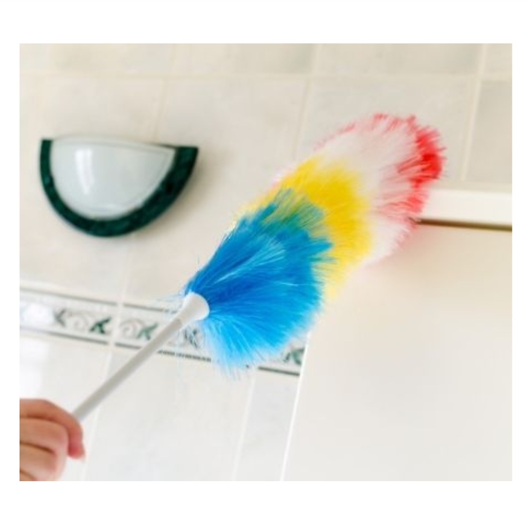 Ξεσκονιστήρι-Καθαρισμού-Strom-Static-Duster-3