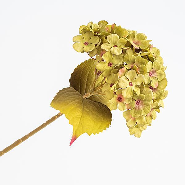 ee341fddc4ad4fd4bd168126507d9218