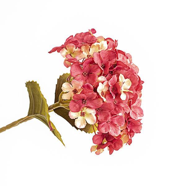 f7666b177b044c44a341993e243e37a6