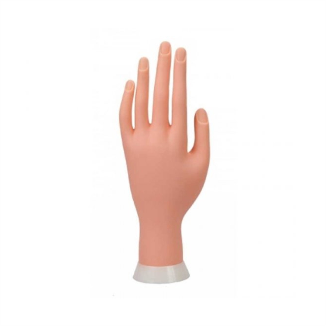 Εκπαιδευτικό-Χέρι-Premier-Soft-Hand-A