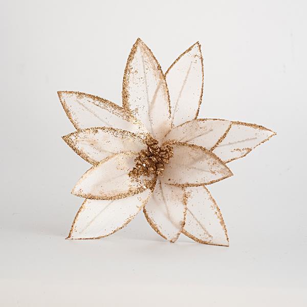 c5c0eb67acbf4462b2bc14948c67e656