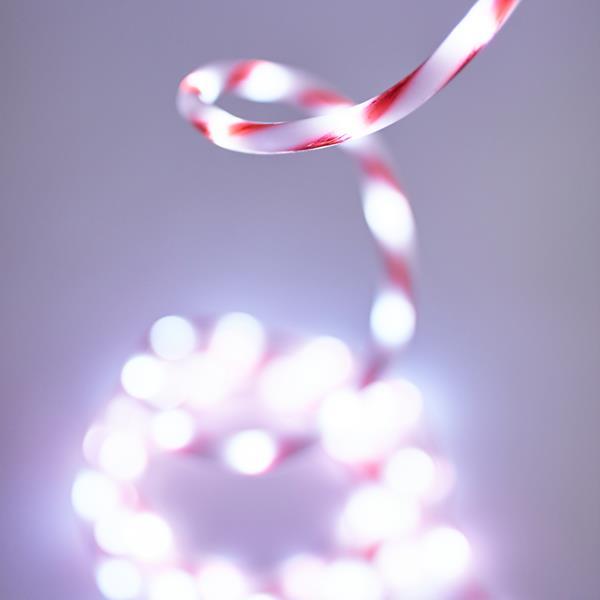 3255ac7e579a4f2caa0f60701e83810e