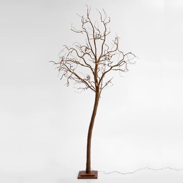 e818719125ea4d268ca54613d26e38ee