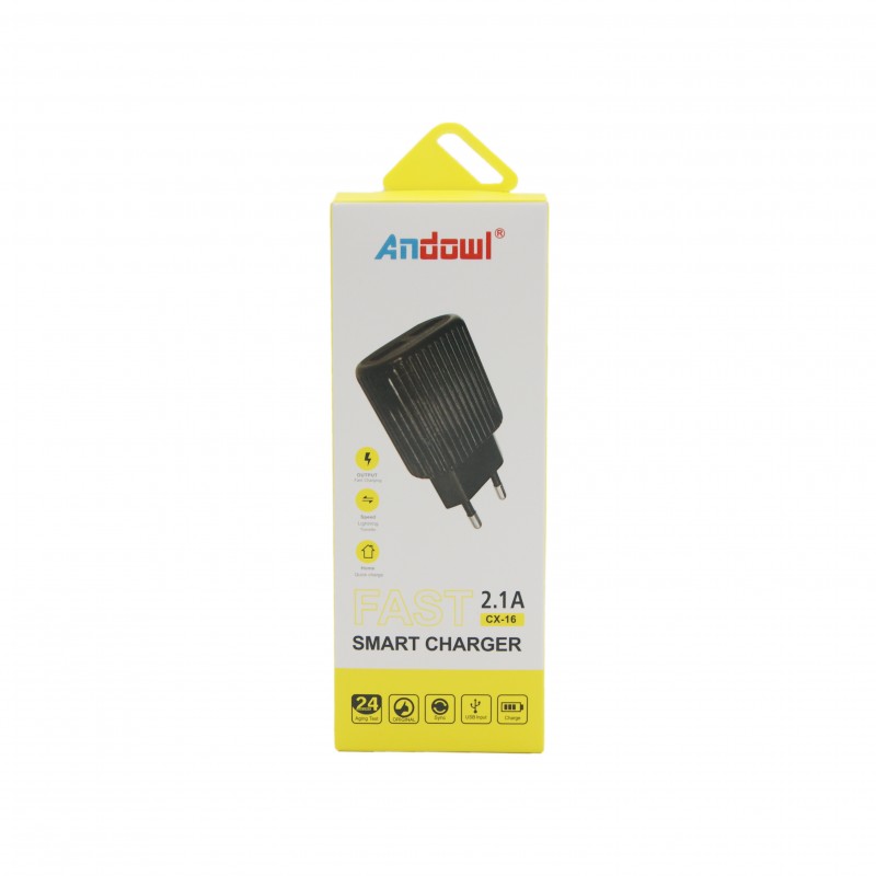 fast-smart-charger-21a-andowl-cx-16