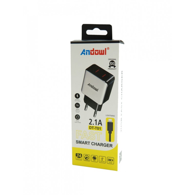 lightning-ios-andowl-dt-t01